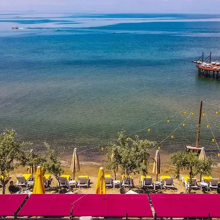 Akcay Yavuz * Edremit (Balikesir)