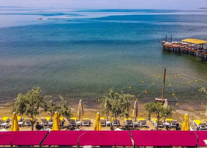 Akcay Yavuz * אדרמיט